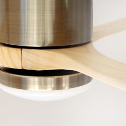 Yen DC LED Ceiling Fan 15W CCT Light Wood