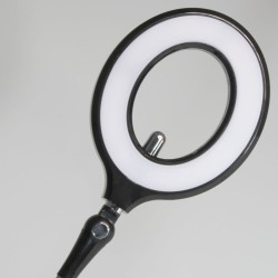 Bil LED Desk Lamp 10W CCT