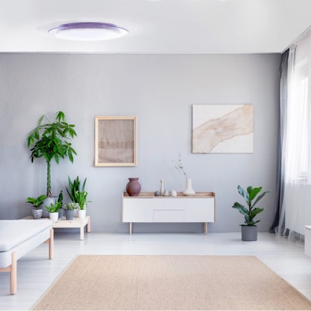 Melissa Dimmable LED Flush Light 40W CCT