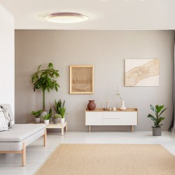 Melissa Dimmable LED Flush Light 60W CCT