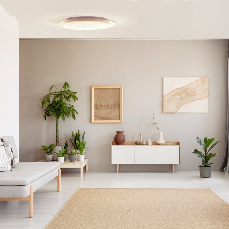 Melissa Dimmable LED Flush Light 60W CCT