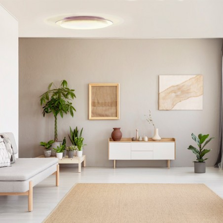 Melissa Dimmable LED Flush Light 60W CCT