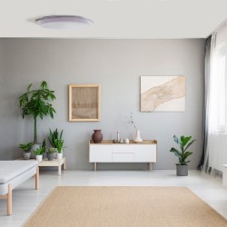 Melissa Dimmable LED Flush Light 60W CCT