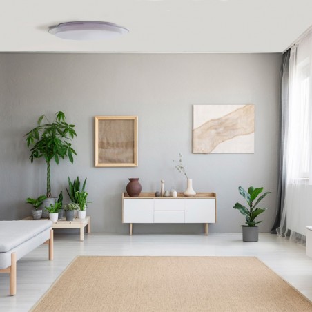 Melissa Dimmable LED Flush Light 60W CCT