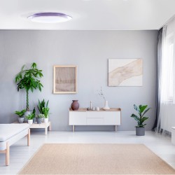 Melissa Dimmable LED Flush Light 60W CCT