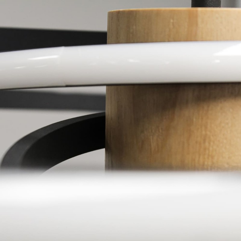 Foto detalle de la Lámpara de techo Dina 50W