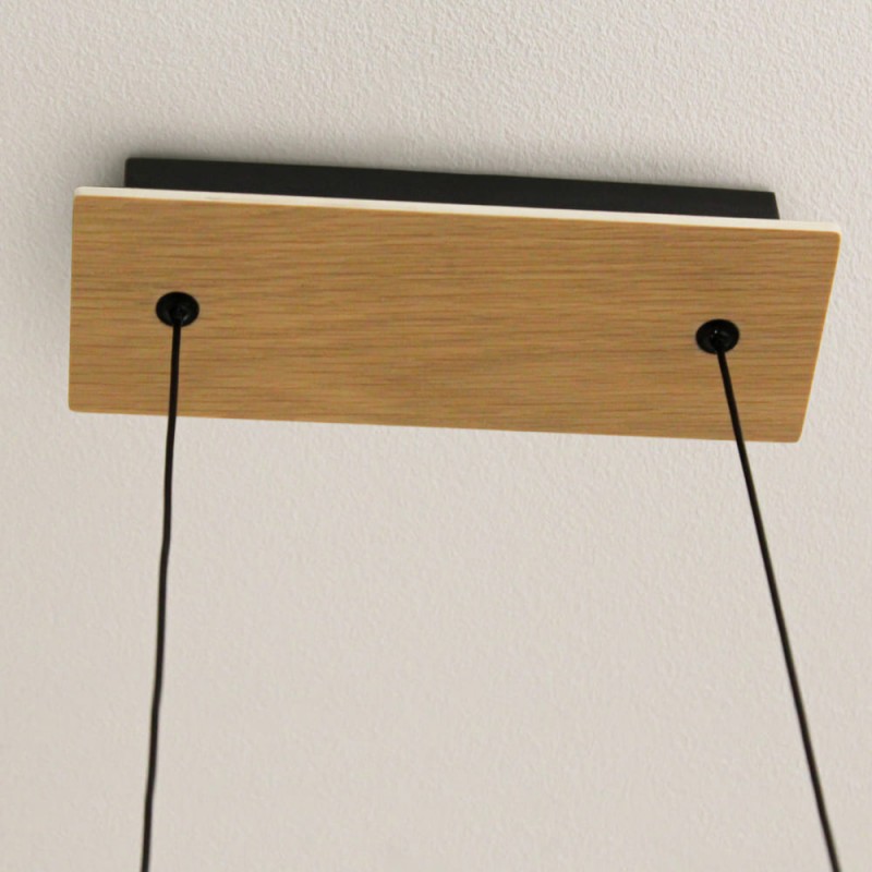 Detalle florón completo Lámpara de techo LED Rever 49W 3000K