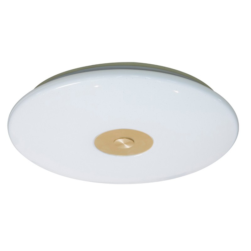 Pro Dimmable LED Flush Light 50W