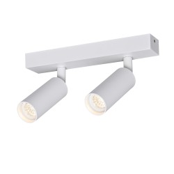 Ceiling Track Spotlight...