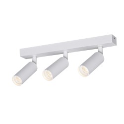 Ceiling Track Spotlight...