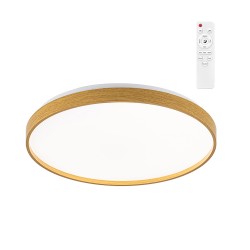 Panam LED Ceiling Flush...