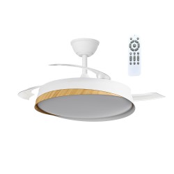 Ventilateur LED pales...