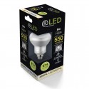 E14 R50 LED SMD 6W 550LM 4200ºK