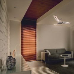 Lighter SMART DC LED Ceiling fan 24W CCT