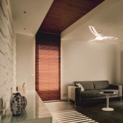 Lighter SMART DC LED Ceiling fan 24W CCT